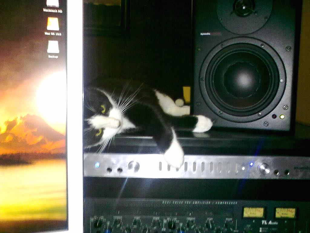 New studio assistant